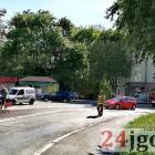 Fotka nr 1 z 14
