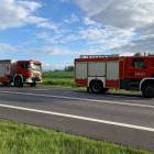 Fotka nr 2 z 17