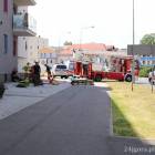 zdjęcie nr 9