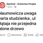 Fotka nr 0 z 2