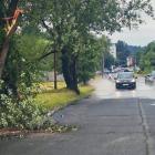 zdjęcie nr 37