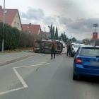 Fotka nr 4 z 13
