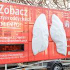 zdjęcie nr 15
