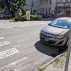 fot. Straż Miejska Jelenia Góra