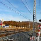 Fotka nr 1 z 18