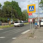 Fotka nr 5 z 8