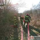 Fotka nr 5 z 10