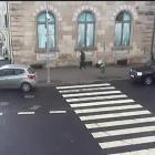 ​​​​​​​fot. Straż Miejska Jelenia Góra