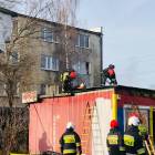 Fotka nr 2 z 13