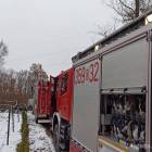 Fotka nr 2 z 6