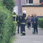 zdjęcie nr 11