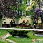 zdjęcie nr 15