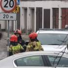 Fotka nr 2 z 4