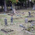 zdjęcie nr 30