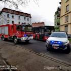 Fotka nr 5 z 7