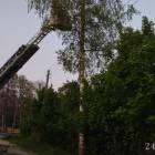 Fotka nr 5 z 10