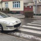fot. Straż Miejska Jelenia Góra
