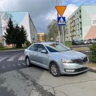 fot. Straż Miejska Jelenia Góra