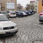 fot. Straż Miejska Jelenia Góra