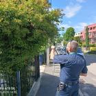 fot. Straż Miejska Jelenia Góra