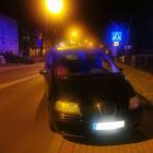 fot. Straż Miejska Jelenia Góra