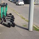 fot. Straż Miejska Jelenia Góra