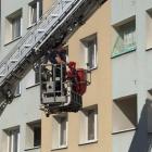 Fotka nr 4 z 10