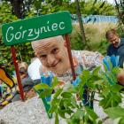 zdjęcie nr 12