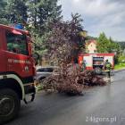 Fotka nr 1 z 3