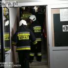 Fotka nr 5 z 11