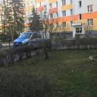 Fotka nr 4 z 10
