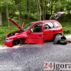 zdjęcie nr 8