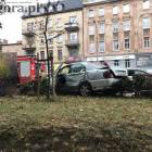 zdjęcie nr 8