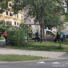 Fotka nr 2 z 13