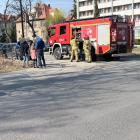 Fotka nr 2 z 4