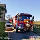 Fotka nr 2 z 12