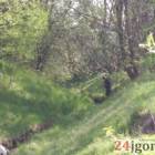 Fotka nr 5 z 9