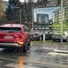 Fotka nr 1 z 2