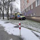 Fotka nr 5 z 6