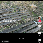 fot. TikTok Anna Korneć-Bartkiewicz