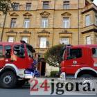 zdjęcie nr 5