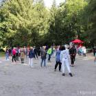 zdjęcie nr 13