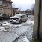 Fotka nr 4 z 6