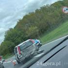 Fotka nr 1 z 2