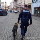 Fotka nr 1 z 3