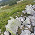 fot. Karkonosze GO