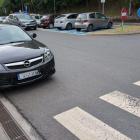 fot. Straż Miejska Jelenia Góra