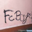 Fotka nr 1 z 5