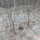 Fotka nr 1 z 13