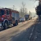 Fotka nr 4 z 10